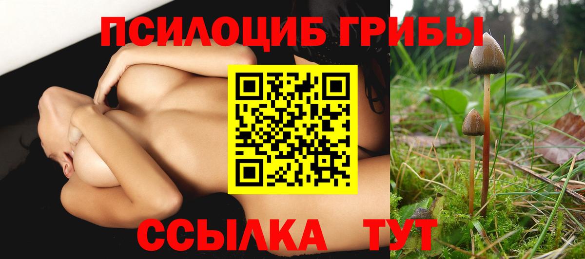 Псилоцибиновые грибы прущие грибы  Вход с VPN  Углич  Галлюциногенные грибы GOLDEN TEACHER 