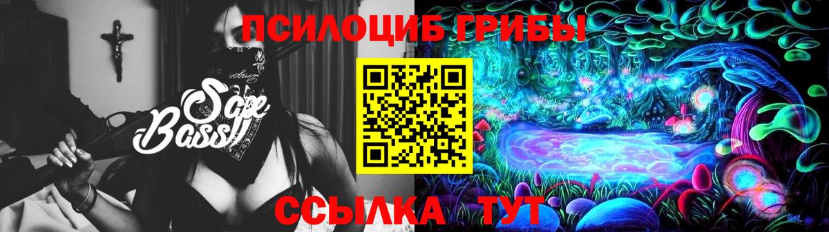 Галлюциногенные грибы прущие грибы Углич